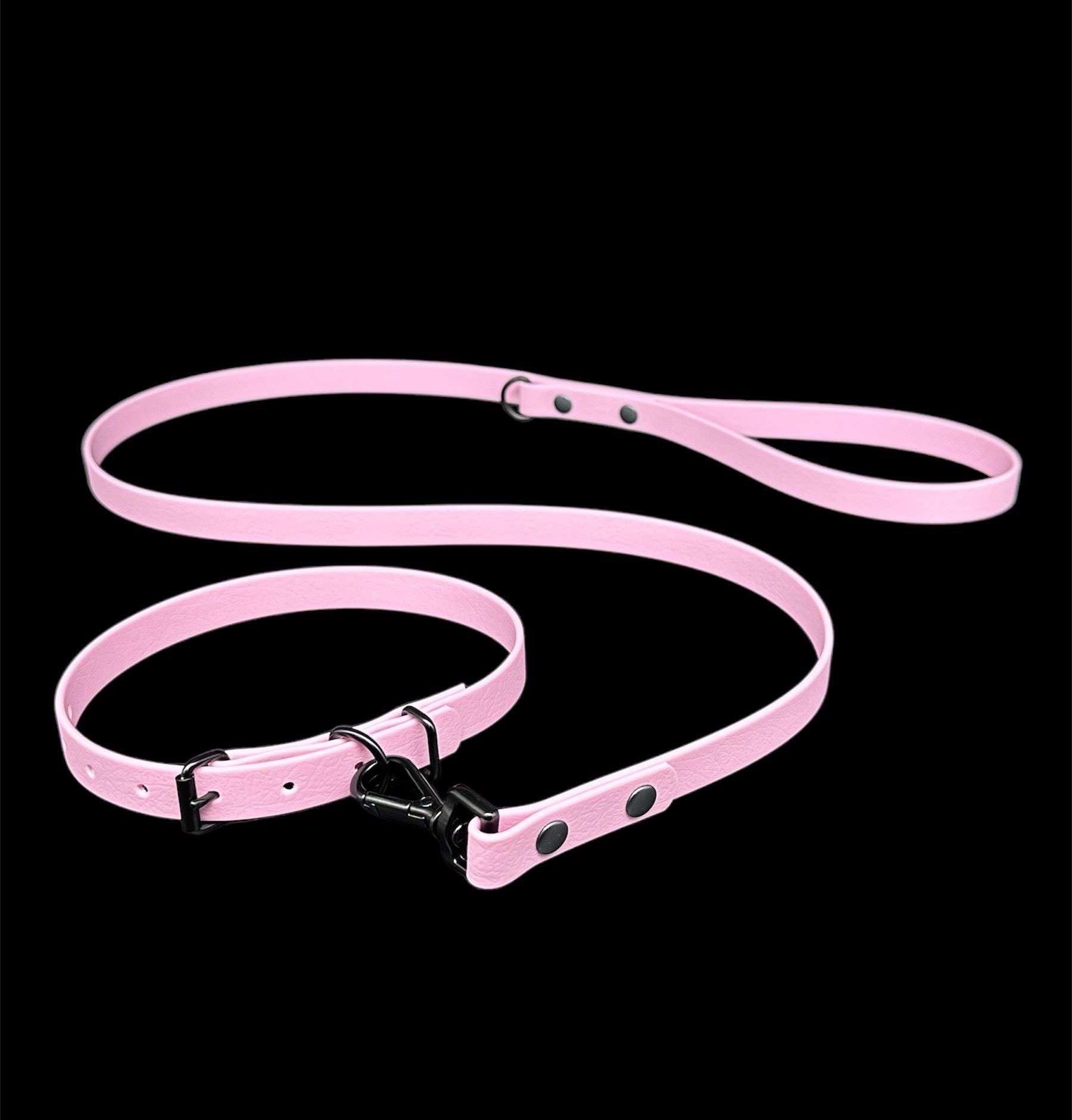 Waterproof Biothane Dog Lead & Collar Set | Metal Buckle | Black Rivets | Ultra Durable… — image 1
