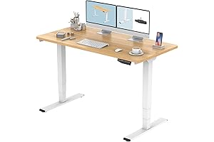 FLEXISPOT Pro 3 Stages Dual Motor Electric Standing Desk