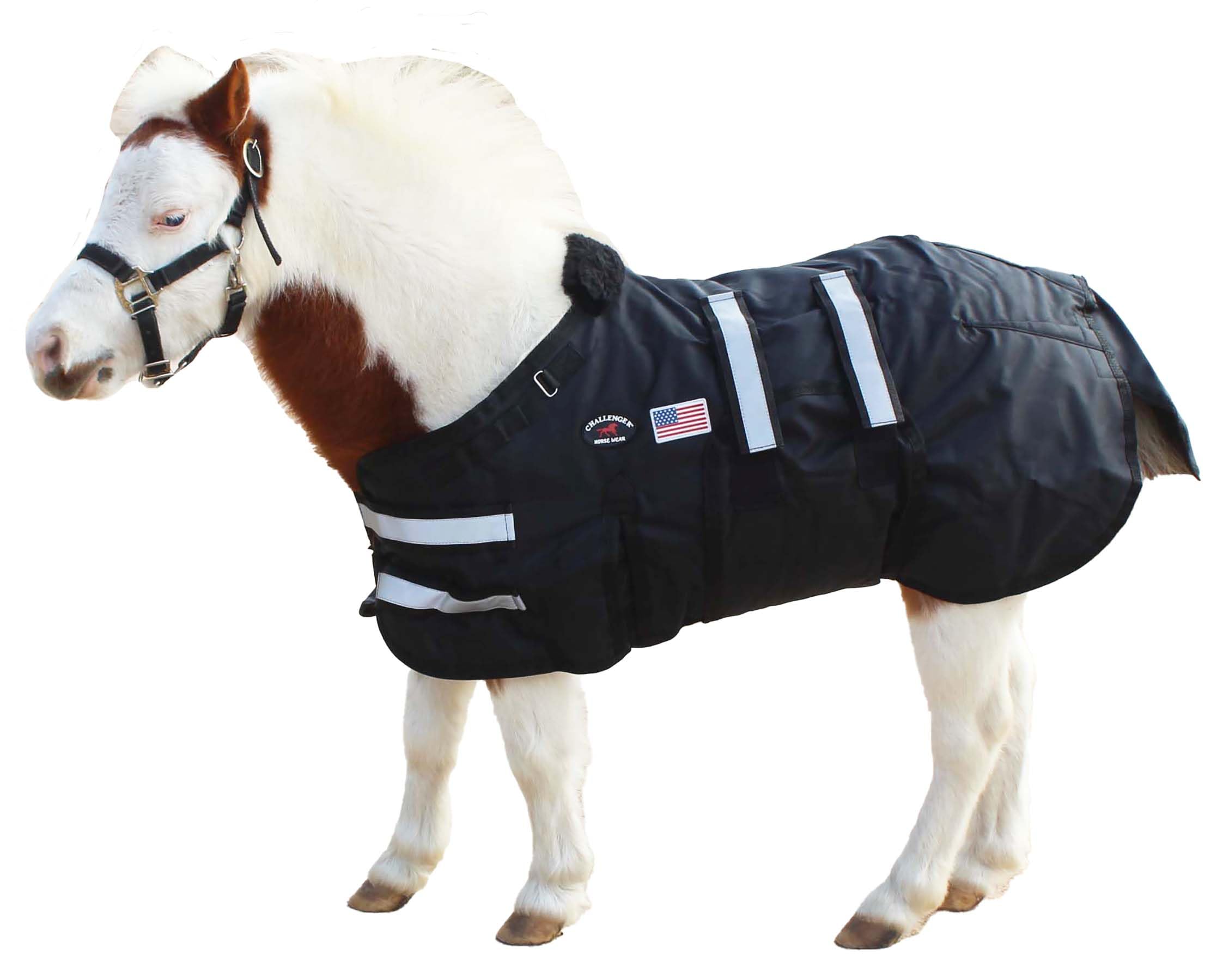 CHALLENGER 36-42 (Medium) 1680D miniatura svezzamento asino pony cavallo puledro coperta invernale 519TS01BK