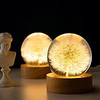 Vista 4 de DESHINTKE Pisapapeles de flor eterna de diente de león real con base luminosa