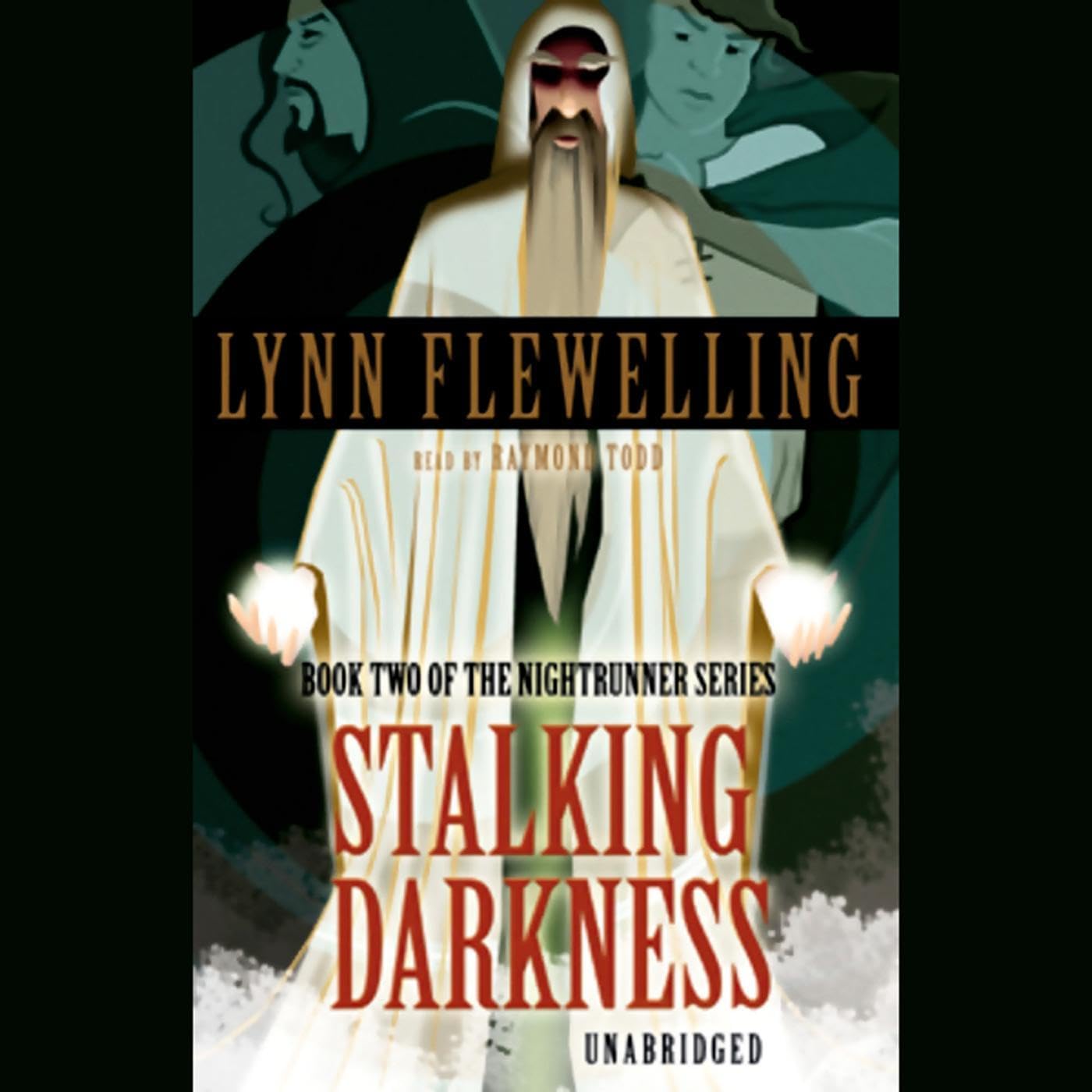 Cover art for Stalking Darkness
