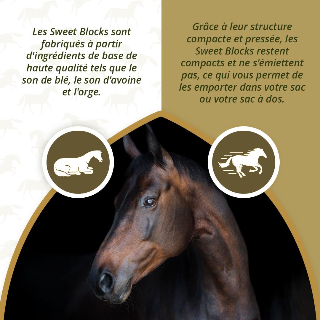 Excellent Horse Sweet Eucalypta Blocks – Bonbons pour chevaux – Sans sucre – Saveur eucalyptus – Morceaux – Récompense – 1 kg