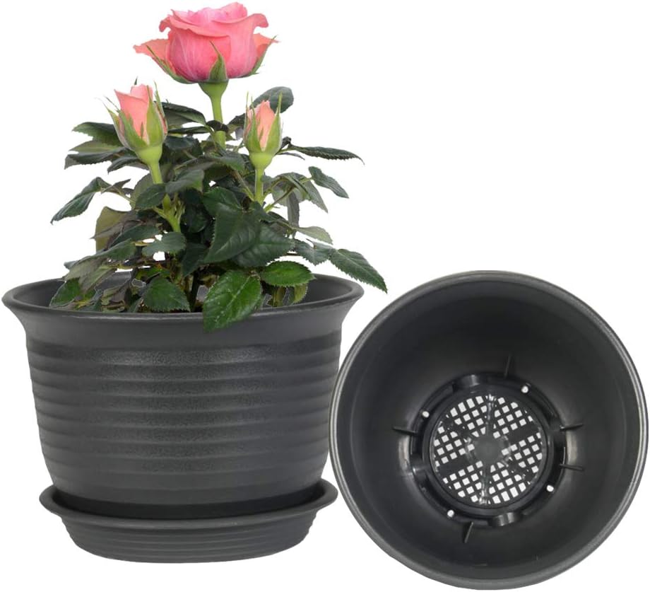 ZOUTOG ππ π·πππ π·ππππ π·πππ, 6 inches Plastic Planters with Drainage Hole and Tray, Plants Not Included