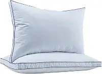 puredown Conjunto de 2 travesseiros de plumas tamanho Queen, almofadas de penas de ganso para dormir, capa de algodão orgânico, coleção de hotel, travesseiros de cama