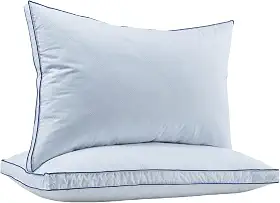 puredown Conjunto de 2 travesseiros de plumas tamanho Queen, almofadas de penas de ganso para dormir, capa de algodão orgânico, coleção de hotel, travesseiros de cama