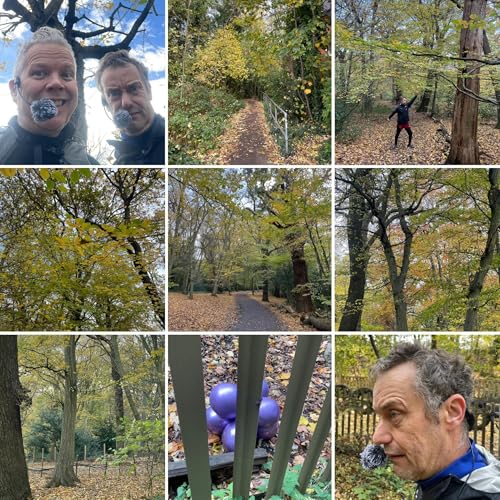 Stay Curious Podcast Por  arte de portada