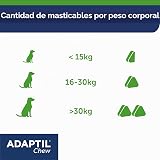 Ver la foto 6