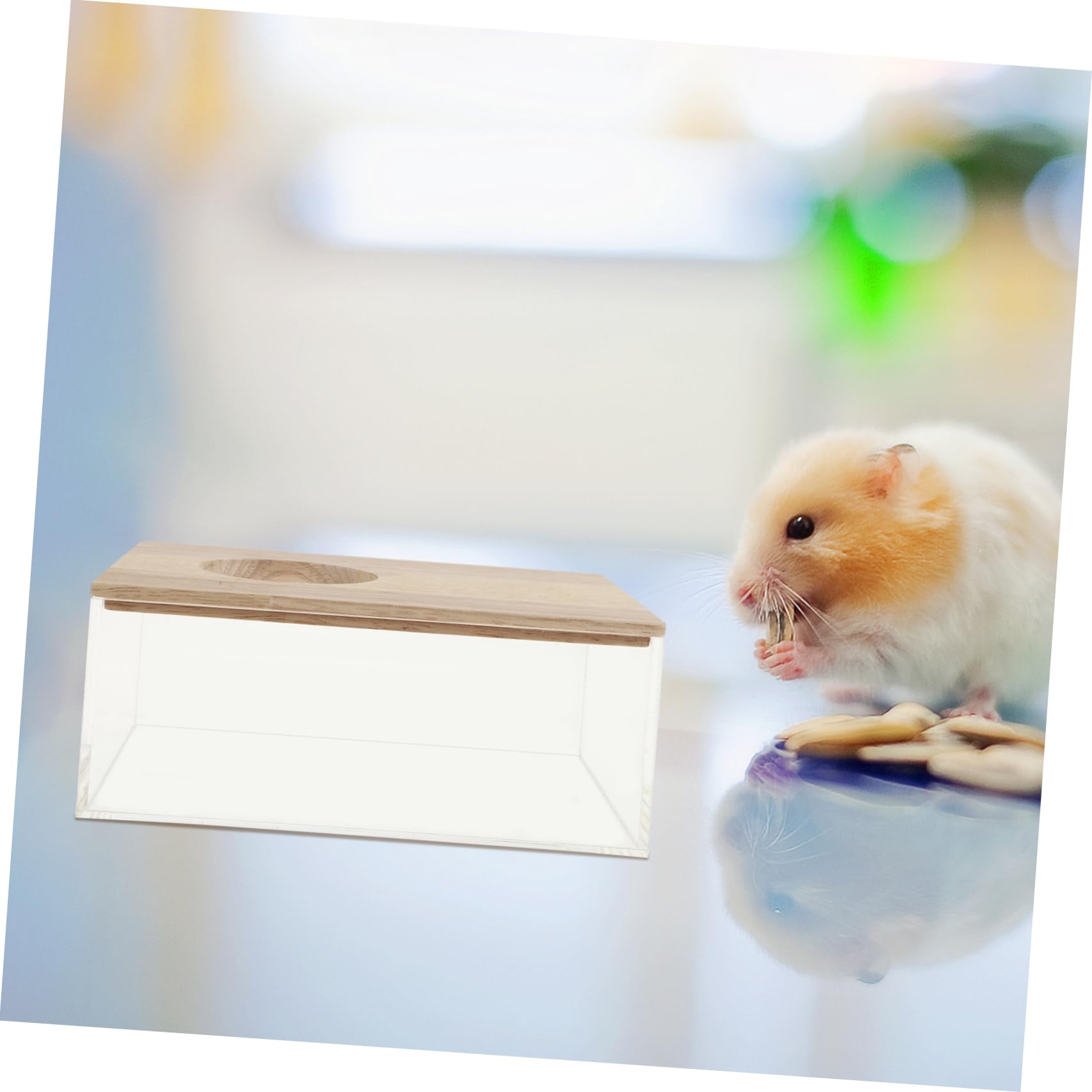 ibasenice Transparente Sandbadbox und Hamster Toilette aus Acryl Sandbadewanne für Chinchillas und Kleintiere Praktisches Haustierzubehör für Badezimmer und Haltung