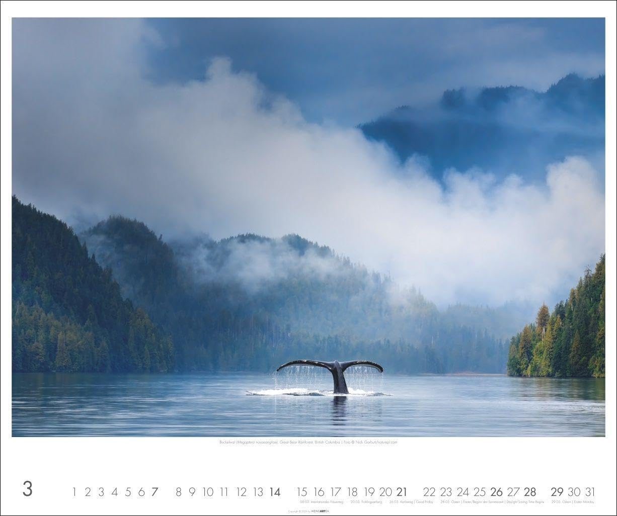 Kanada Kalender 2027 - Der Ruf der Wildnis: Der Ruf der Wildnis. Großer Foto-Wandkalender mit faszinierenden Bildern der kanadischen Weite. 55 x 46 cm. Querformat