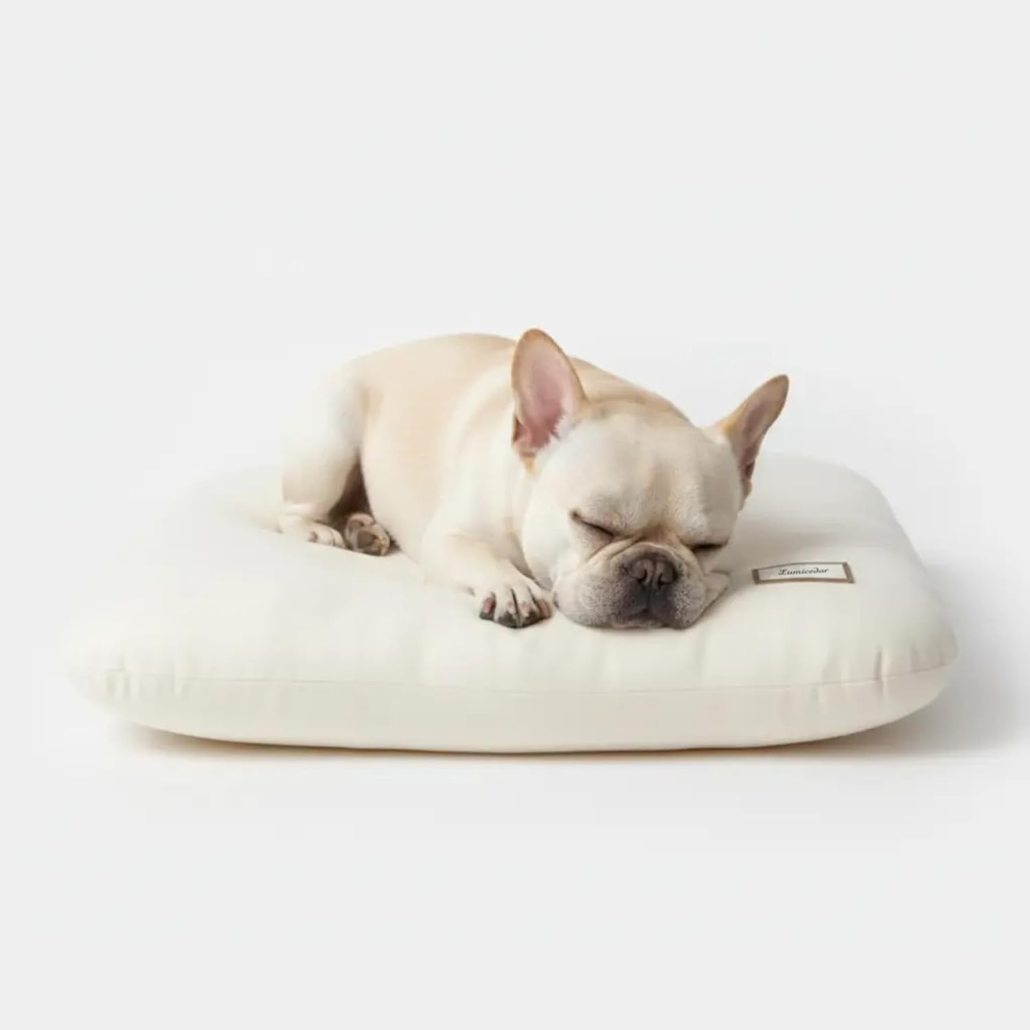 Washable Dog Bed Ultra Soft Plush Dog Crate Mat, Dog Bed for Crate, 3.2" Thick Dog Bed Mat, Kennel Pad for Small and Medium Dogs, 18"x18", Beige