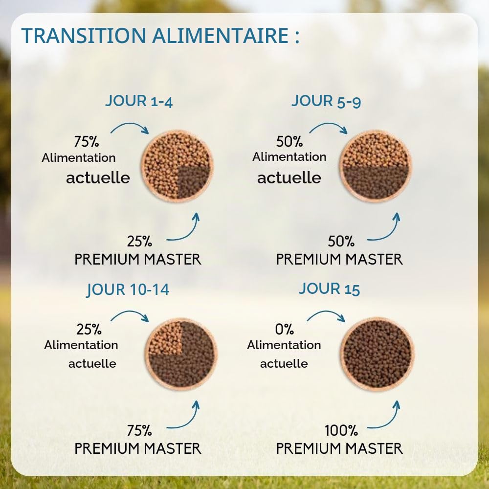 NUTRIVET - Premium Master Maintenance - Croquettes pour Chien Adulte à Activité Normale - Poulet & Riz - 15 kg