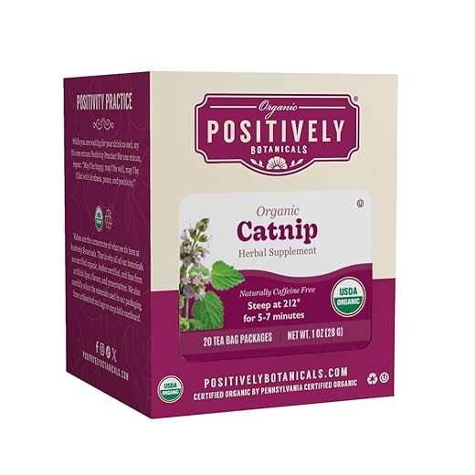 Organic Positively Botanicals Company, Catnip Herbal Tea Bags, 20 Count