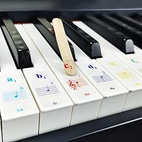 Adesivos de teclado de piano para teclas 88/61/54/49/37. Colorido, bastão, notação musical numerada; conjunto completo de notas musicais para teclas brancas e pretas; transparentes e removíveis