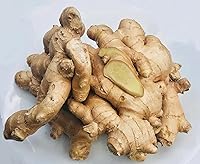 Vista 2 de Kejora Raíz de jengibre fresco prémium de 1 libra