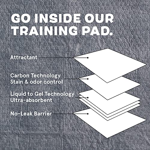 https://m.media-amazon.com/images/I/6158b49TPQL._SL500_.jpg