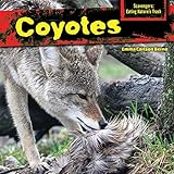 Cover for 9781477766071