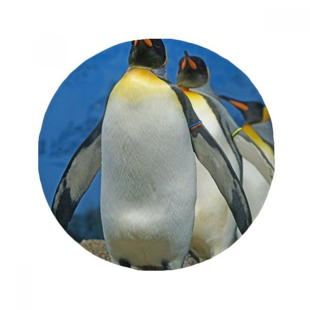 Tapis de sol manchots de l'Antarctique rond anti-slip pour entrée, salon et tapis pour animaux