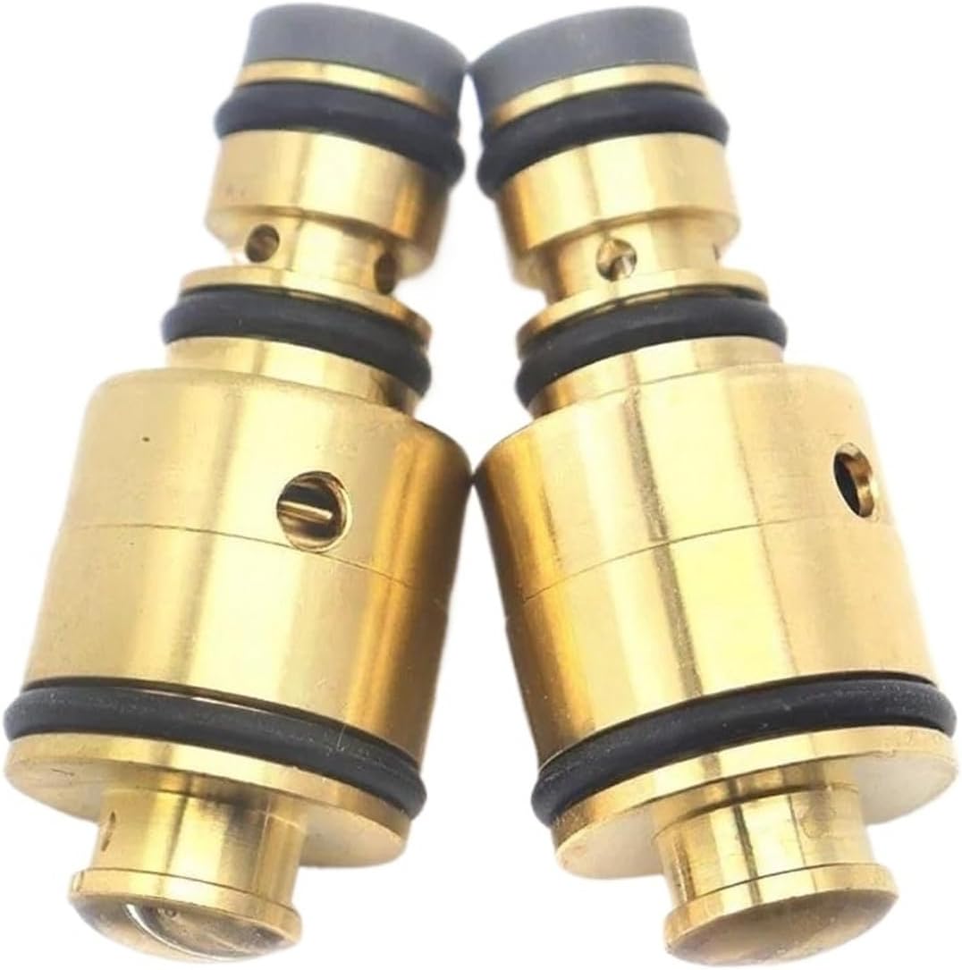 Auto 5SA09 5SA12 5SL12 6SB16 7SBU16 AC Compressor Control Valve Compatible with Jaguar Mazda VW Skoda Saab Compatible with Rover Opel