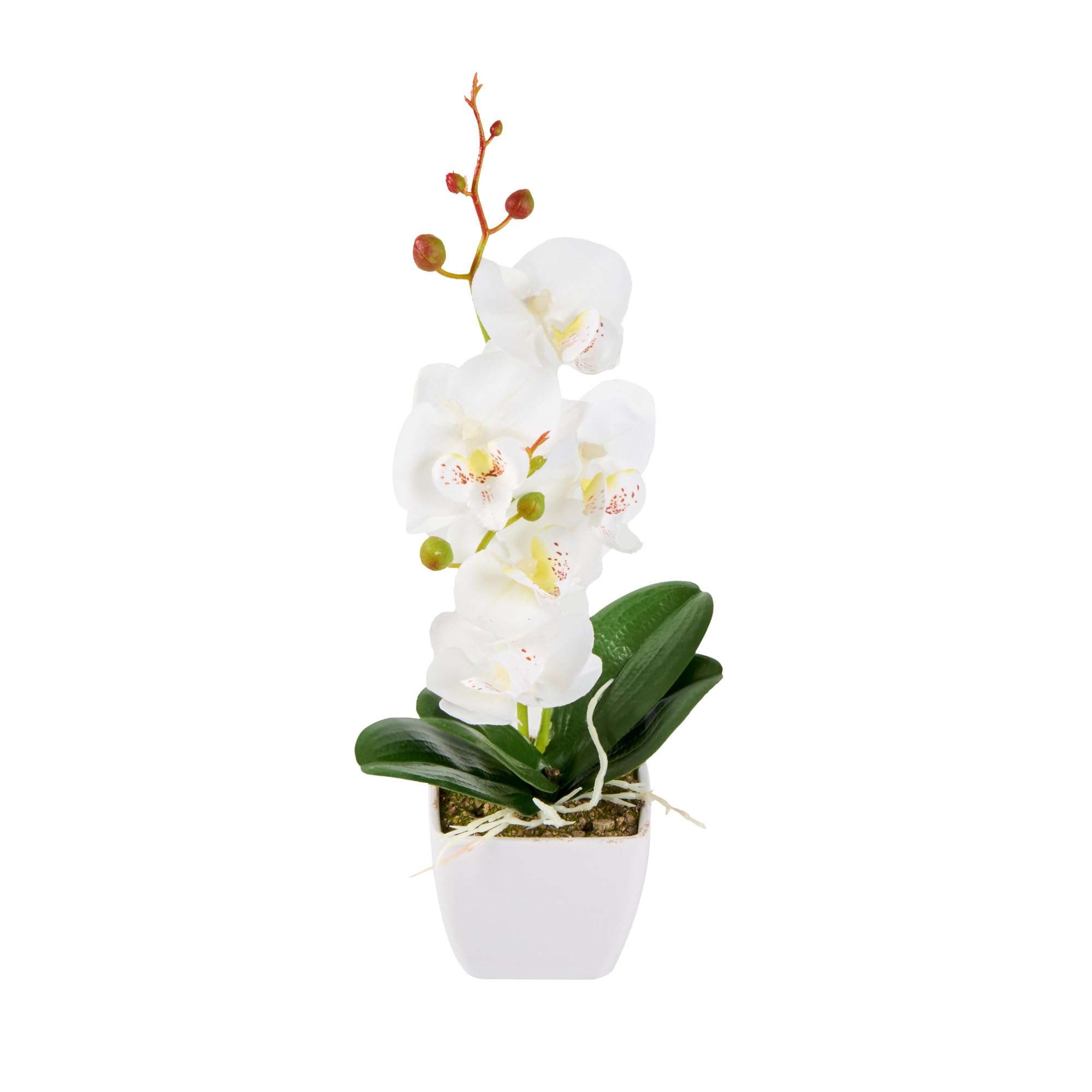 Restaurantware Orchidées artificielles de 10,2 x 35,6 cm, 12 orchidées artificielles en pot – 5