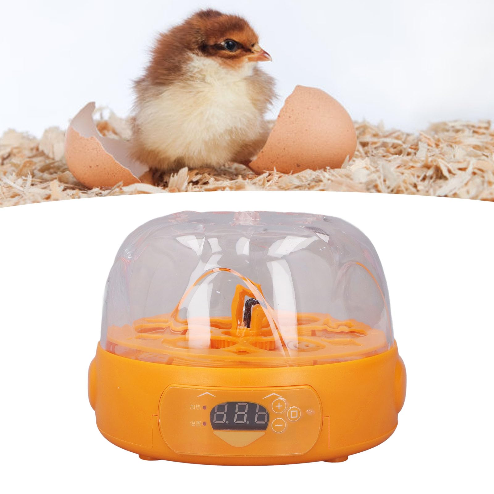 Incubadora de huevos, mini incubadora digital de huevos con giro automático de huevos, control de temperatura, pequeña incubadora de 6 huevos, máquina para incubar aves de corral para incubar huevos
