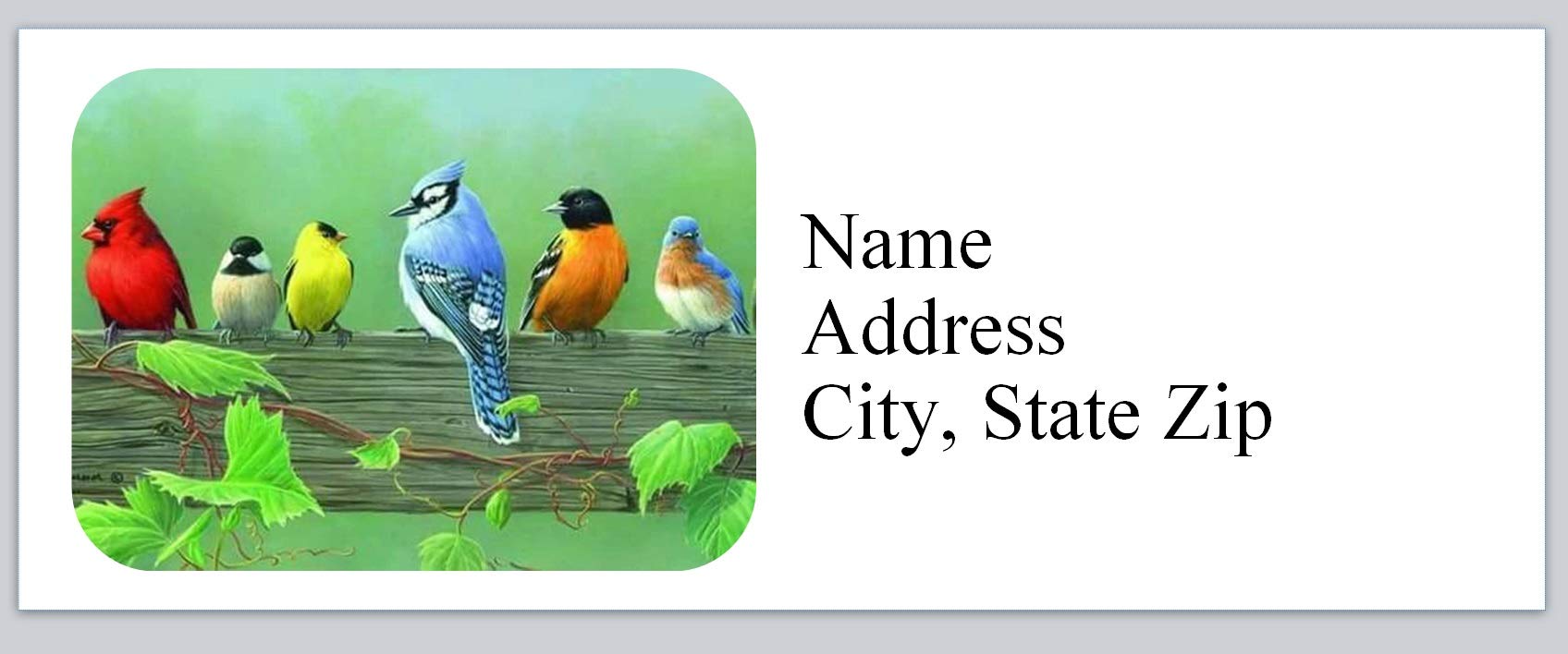 150 Personalized Return Address Labels Beautiful Colorful Birds (bx 829)