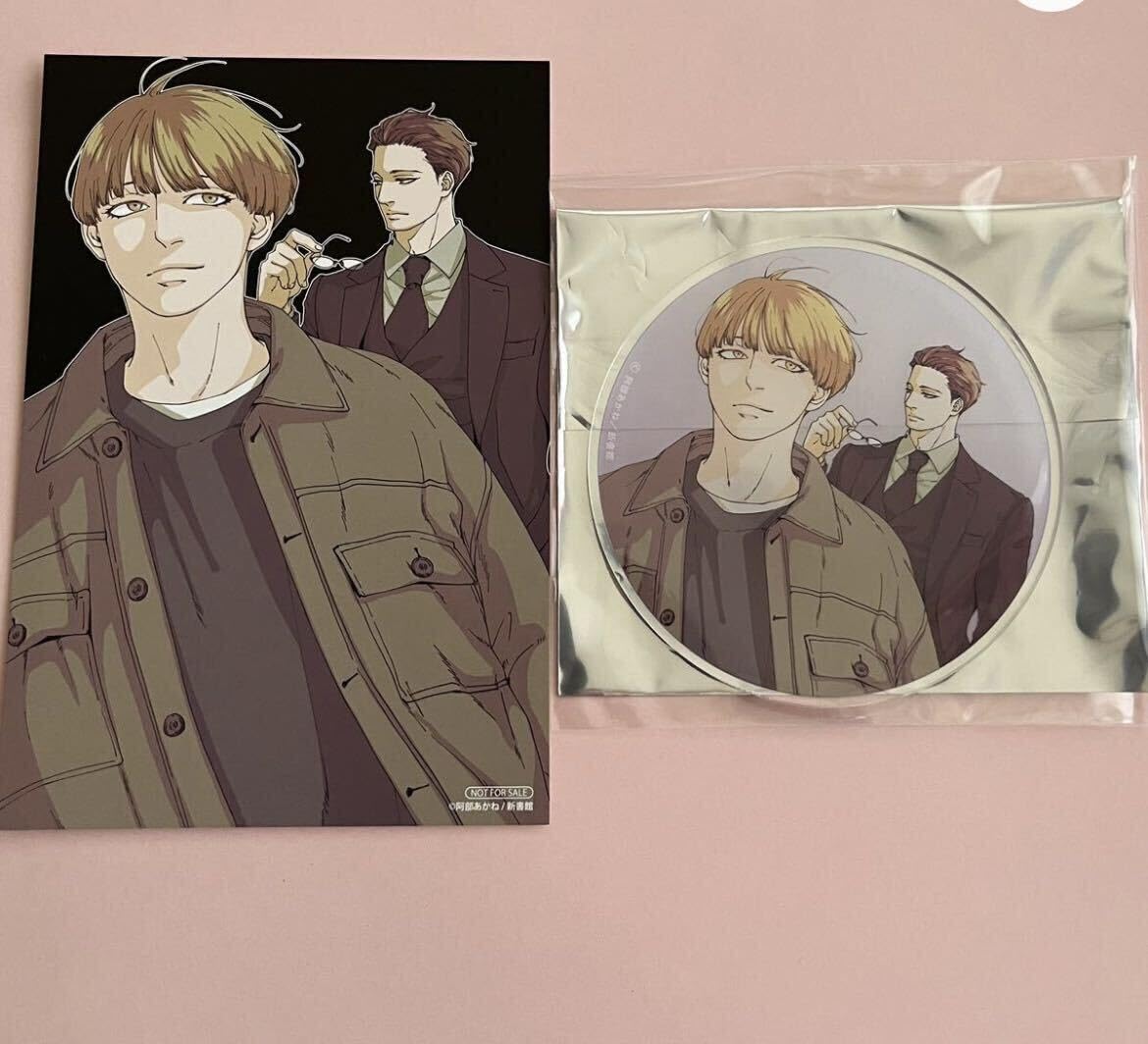 Amazon.co.jp: Dear+ 創刊25周年 ディアプラス アニメイト グラッテ