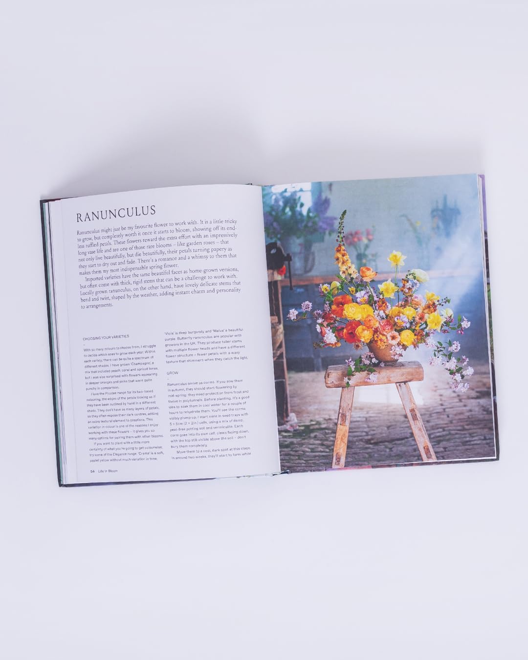 Life in Bloom: Grow, Gather & Arrange Seasonal Flowers