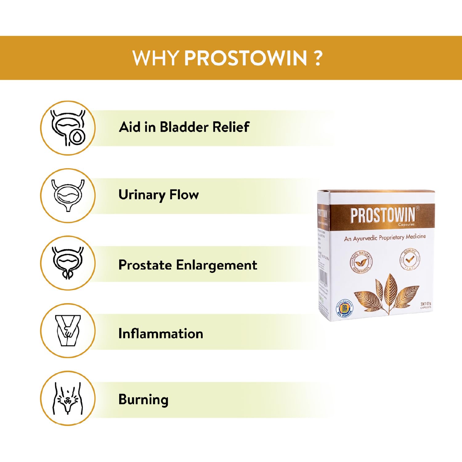 Prostate Capsules | 10 Herbal Ingredients | Gokshura & Lajjalu | Prostate Enlargement, Supports BPH, Urinary Flow & Bladder Health | Reduces Inflammation & Burning |30 Capsules — Amazon image 3
