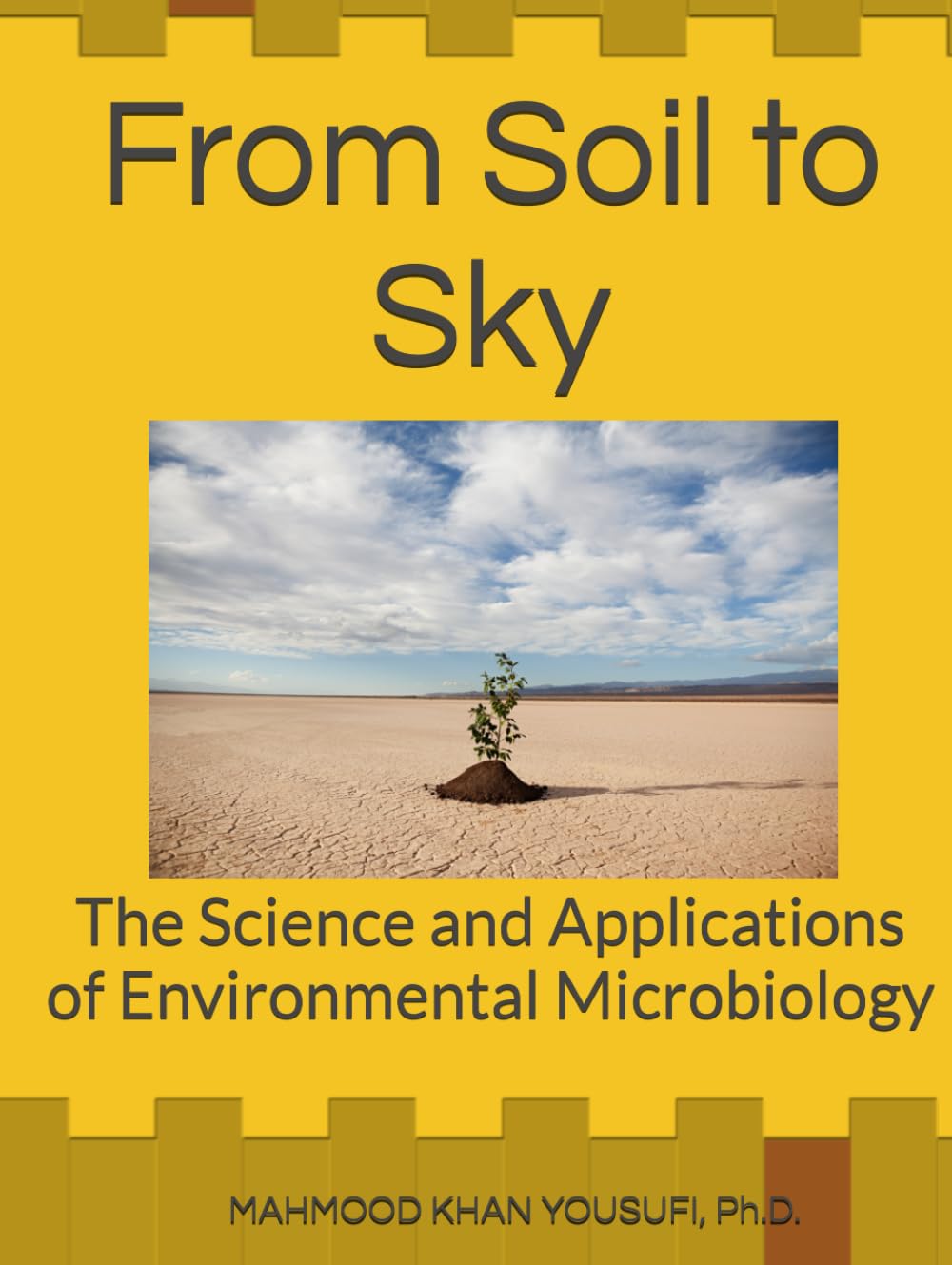 From Soil to Sky: The Science and Applications of Environmental Microbiology