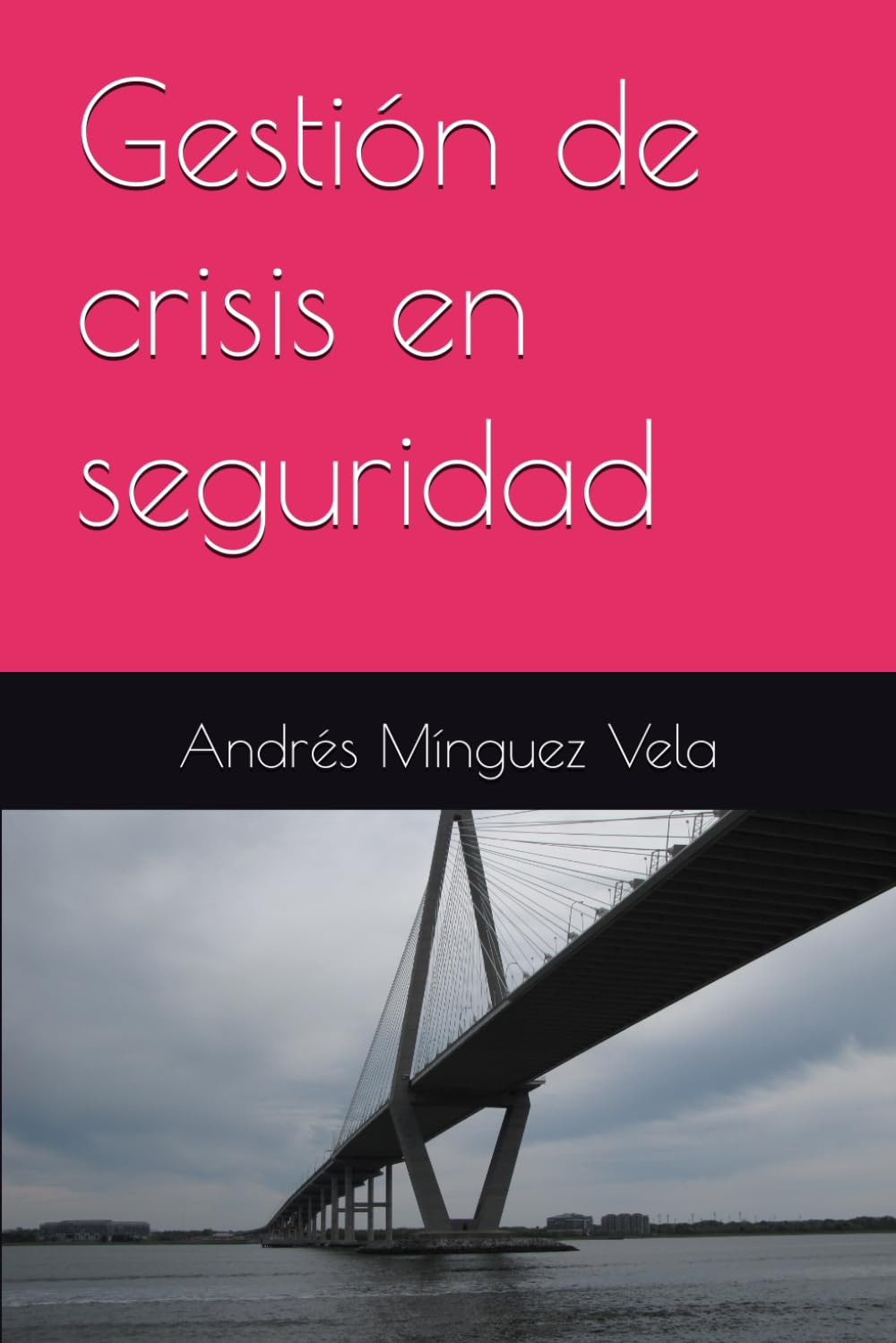 Gestión de crisis en seguridad