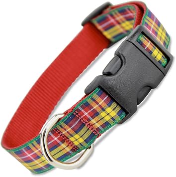 Plaid Dog Collar, Buchanan Tartan, X-Small Dogs 5-13 lbs Collar 5/8" Wide, 6.5 - 10" Long