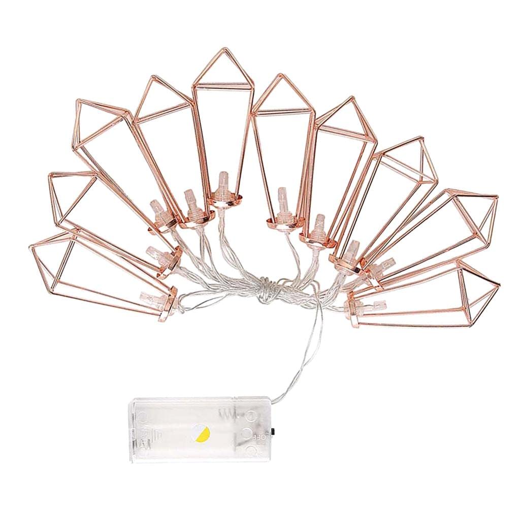 10 LEDs Lights Battery Operated Fairy Light Lamp Warm White 116 Cm Rose Gold Diamond|Home Decoration Items for Living Room Durable Home Garden Tool Kit for Soil Cultivator-image-46