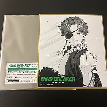 [値下げ]WINDBREAKER 　ウィンブレ　蘇枋隼飛　非売品　ポスター ⟡WINDBREAKER スパイシリーズ 中国限定 蘇枋隼飛⟡ - メルカリ