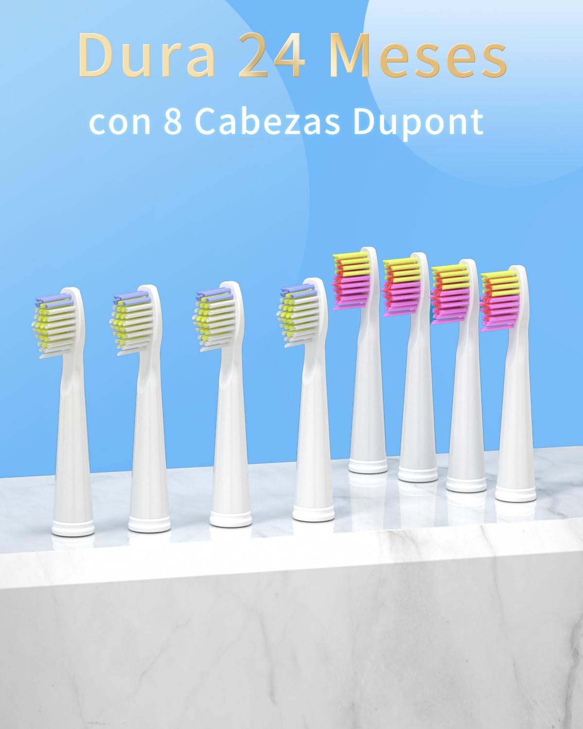 Seago Cepillo de Dientes Eléctrico Sónico, Cepillo Electrico Con 8 Cabezales de Recambio, 40000 VPM 5 Modos Cepillo de Dientes Viaje Para Adultos, Recargable Por USB (Blanco)