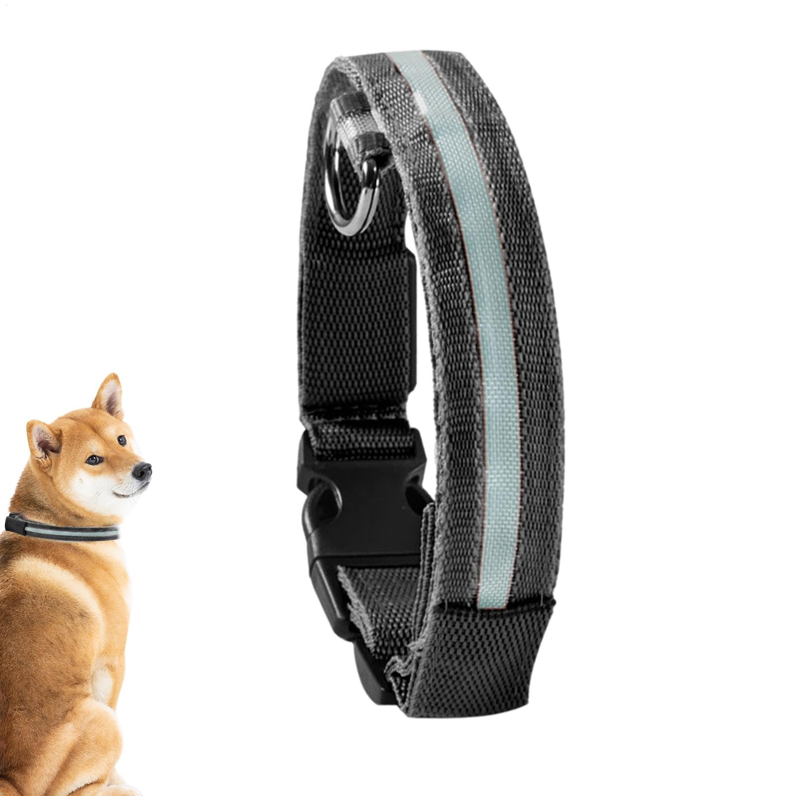 LED | Collare luminoso lampeggiante per cani, collari regolabili che | brillano al buio per cuccioli, cani di taglia media e piccola.