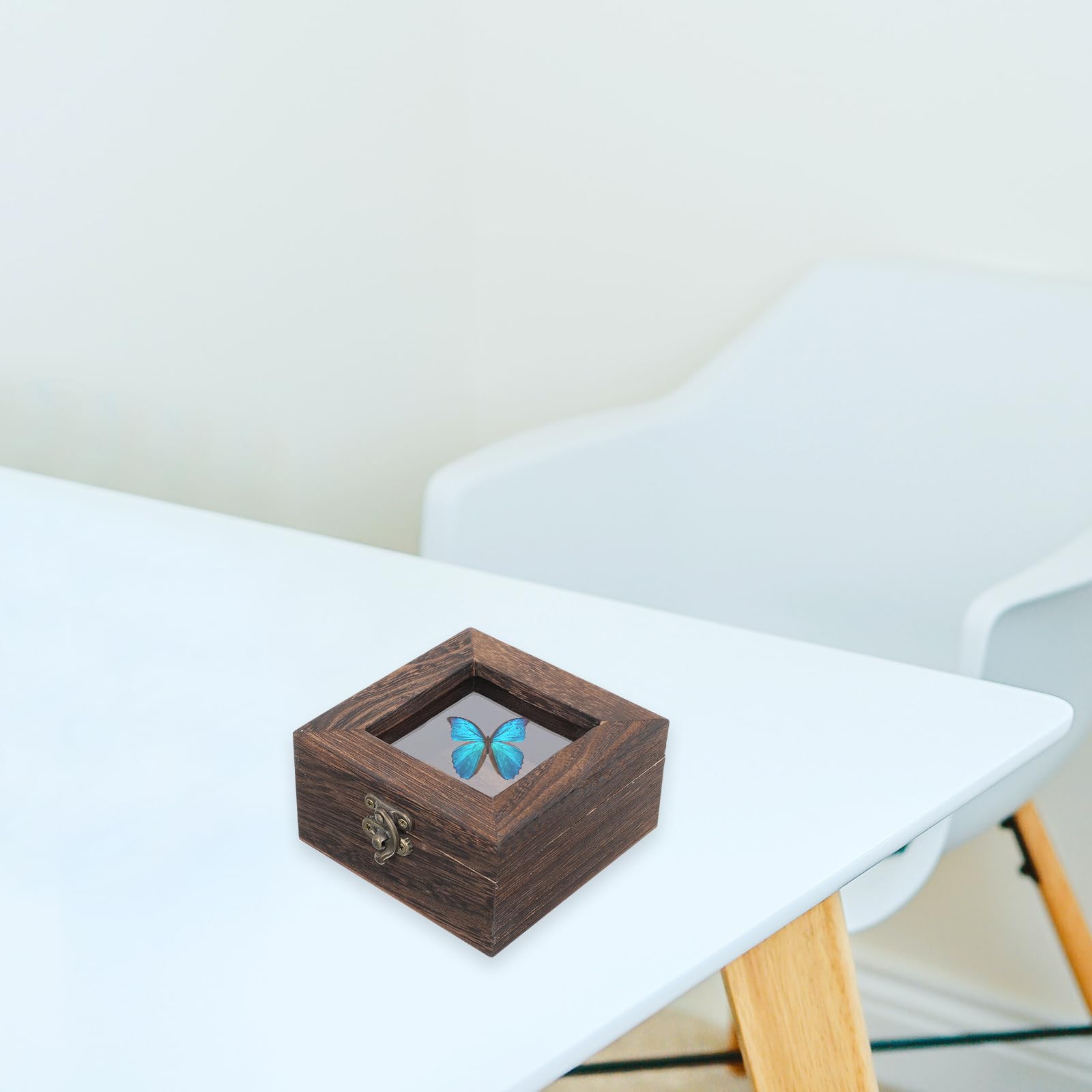 Cabilock Insekten Aufbewahrung mit Design Vitrine und Acryl Retro Multifunktionale Kleine Holzkiste mit Deckel für Schmuck und Münzen