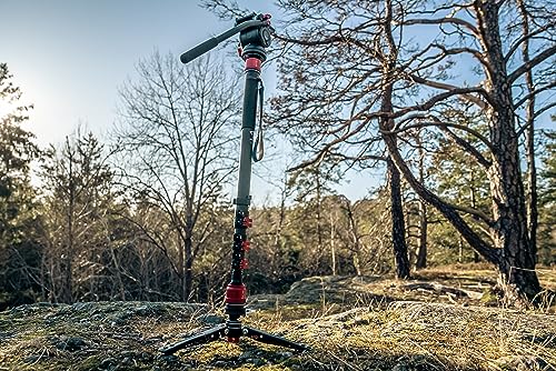 image for IFOOTAGE Monopod Cobra 3 C180F-P, 71