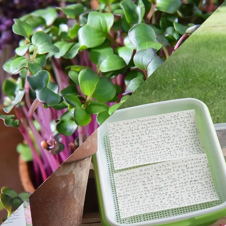 Park Seed Easy DIY Planting Sow Effortless Collection Seed Mats, Microgreens Kit