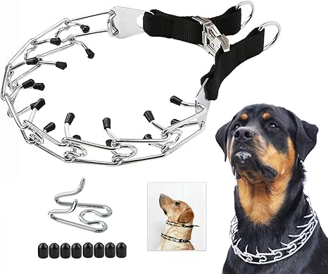 pinch collar amazon
