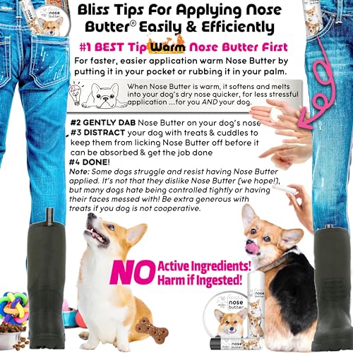 Image of The Blissful Dog Corgi Unscented Nose Butter, 8-Ounce