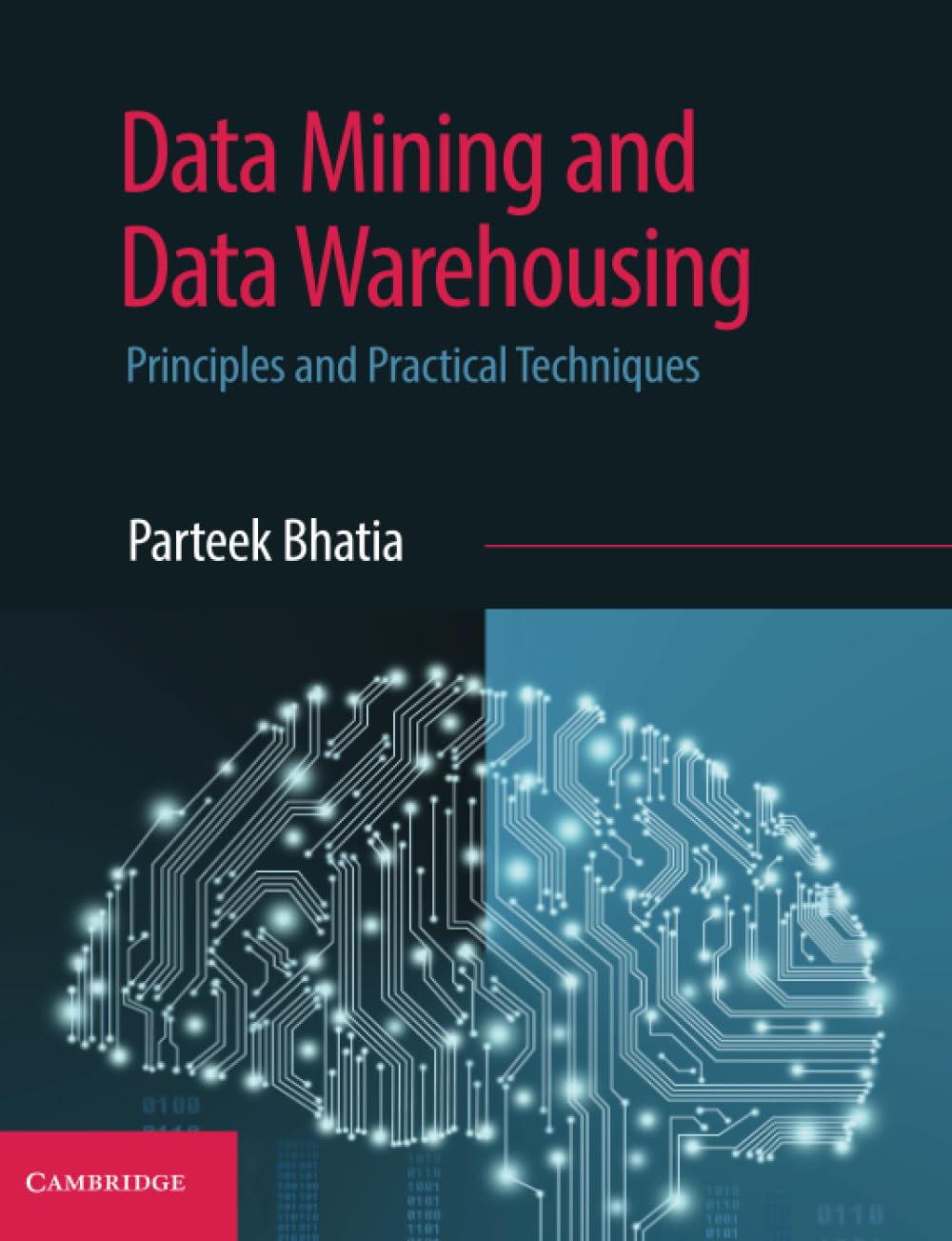 Data Mining and Data Warehousing: Principles and Practical Techniques