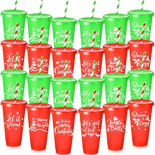Funnymoom 24 Pcs Christmas Plastic Cups with Lid and Straw 24oz Reusable