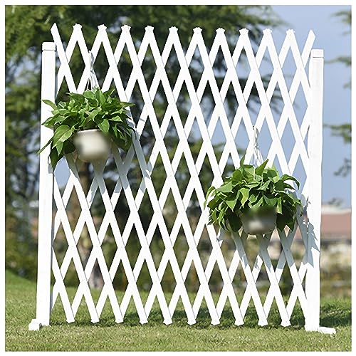 Solution de décoration de jardin rétractable contre le vis-à-vis - 2