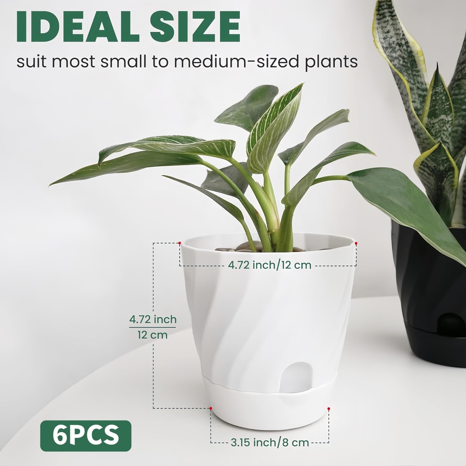 10 Vasi Per Piante In Plastica Nera, 14x12 Cm, Con Sottovaso, Ideali Per Cactus E Succulente