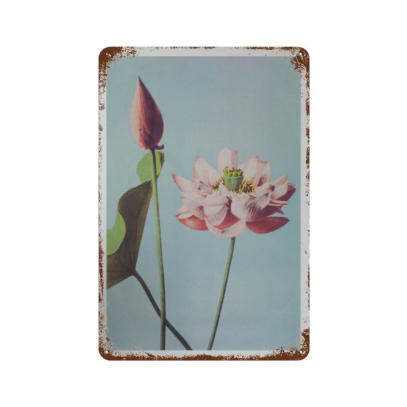 xiaoxiaoshen Vintage Set, Eclectic Gallery Decor1 Wall Decor Art Metal Tin Poster Modern Home Decor Art Home Bar Shop Decorations Vintage Sign 30x20cm