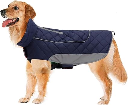 amazon uk dog coats