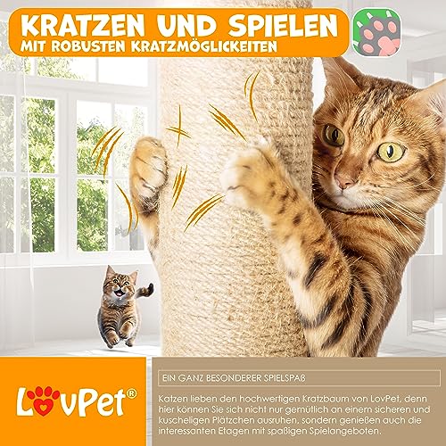 KESSER® Grattoir | Arbre à Chat XXL | Arbre d'escalade avec hamac, colonnes en sisal, Stable, abris, balles de Jeu, Jeu en sisal et Corde de Jeu, avec de Nombreuses possibilités de Jeux, Gris Clair - Image 8