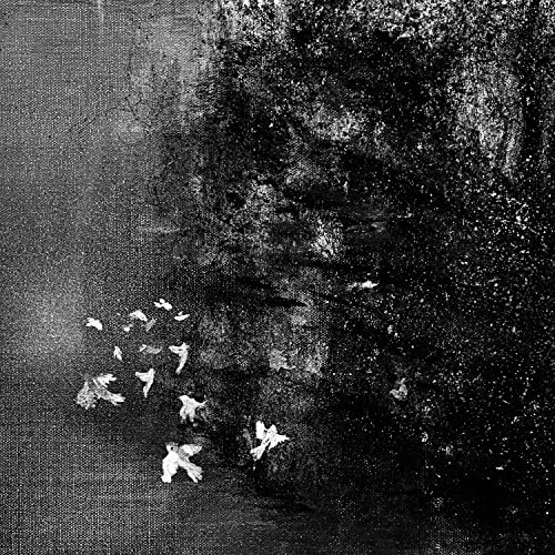 Roo Panes & Philip Daniel