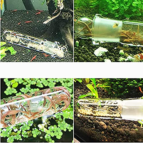 4PZ Trappola Planarie in Vetro Trasparente, Vetro di Cristallo Planario Trappola Planaria Trap Cattura Planaria per Catture Le Planarie Forniture per Pulizia Acquario (2 Fori, 3 Fori e 8 Fori) - Image 5