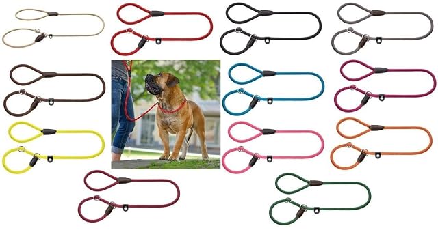 Foto 5 de 5 de Hunter - Correa Freestyle para Retriever con Collar Integrado, Robusta y Resistente a la Intemperie